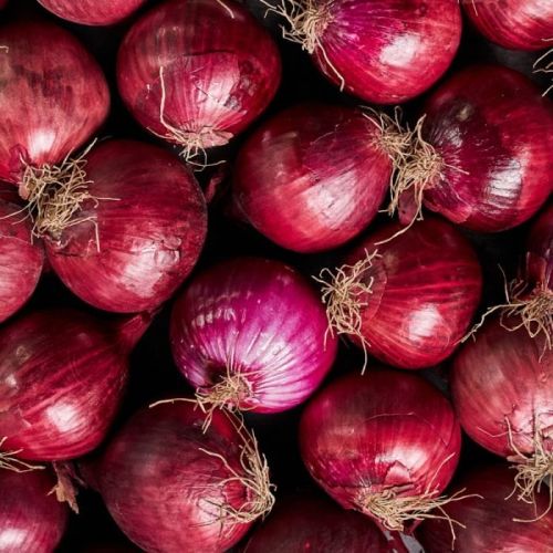 Onion