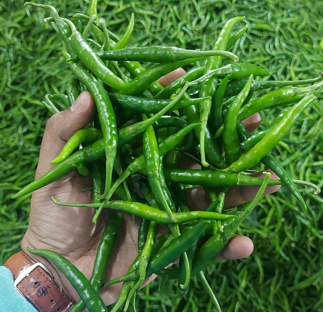 Green Chilli